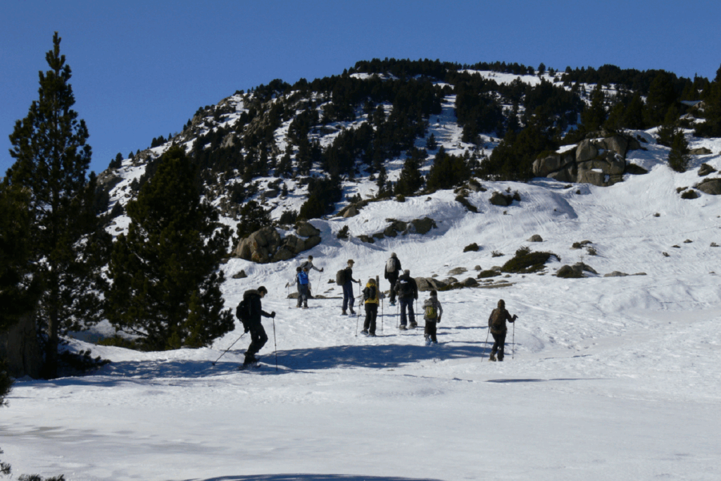 Groupe de randonneurs sur un sentier de randonnée en raquettes