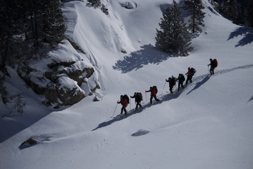 Groupe de randonneurs en raquettes avec leur guide sur un sentier de randonnée en décente dans la neige