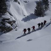 Groupe de randonneurs en raquettes avec leur guide sur un sentier de randonnée en décente dans la neige