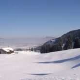 Paysage hivernal enneigé dans le massif du Jura lors d'un séjour de la traversée du Jura franco-suisse avec un guide