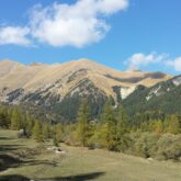 Paysage de montagne ensoleillé avec une prairie au premier plan encadré d'une forêt et en fond des sommets caractéristiques de la zone