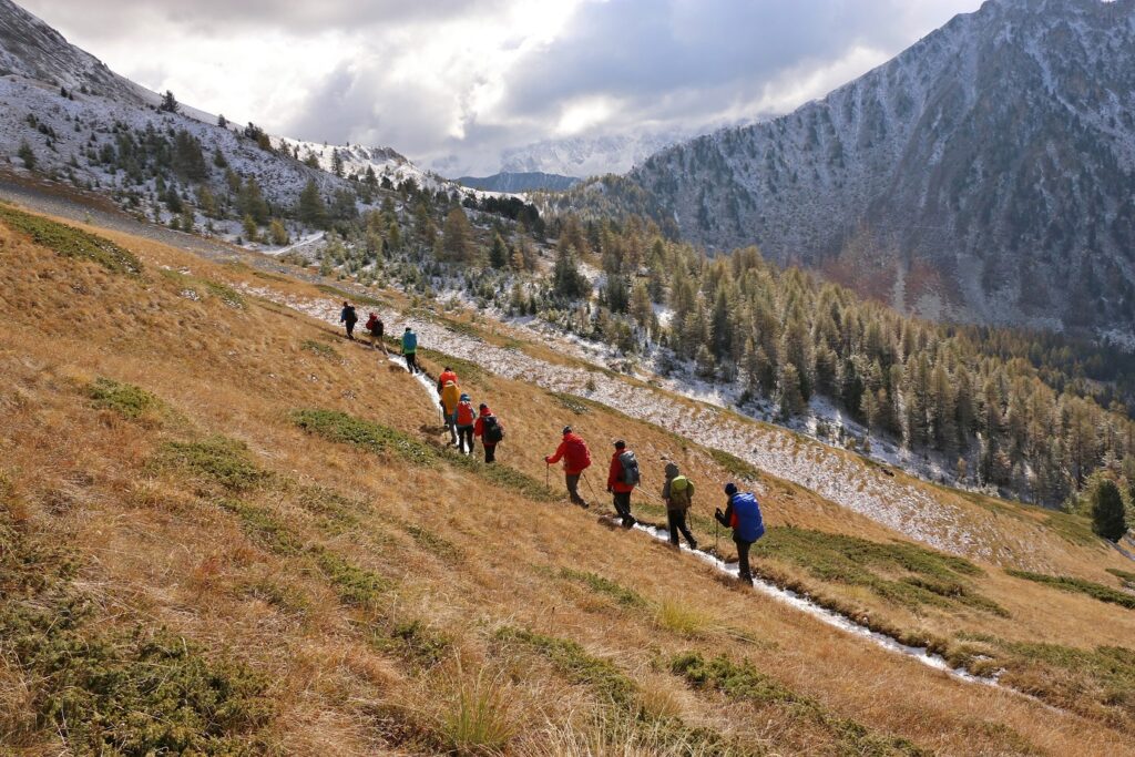 Groupe de randonneurs sur un sentier avec leur guide dans le domaine du Queyras, avec en fond des montagnes dont les flancs sont couverts d'arbres