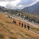 Groupe de randonneurs sur un sentier avec leur guide dans le domaine du Queyras, avec en fond des montagnes dont les flancs sont couverts d'arbres