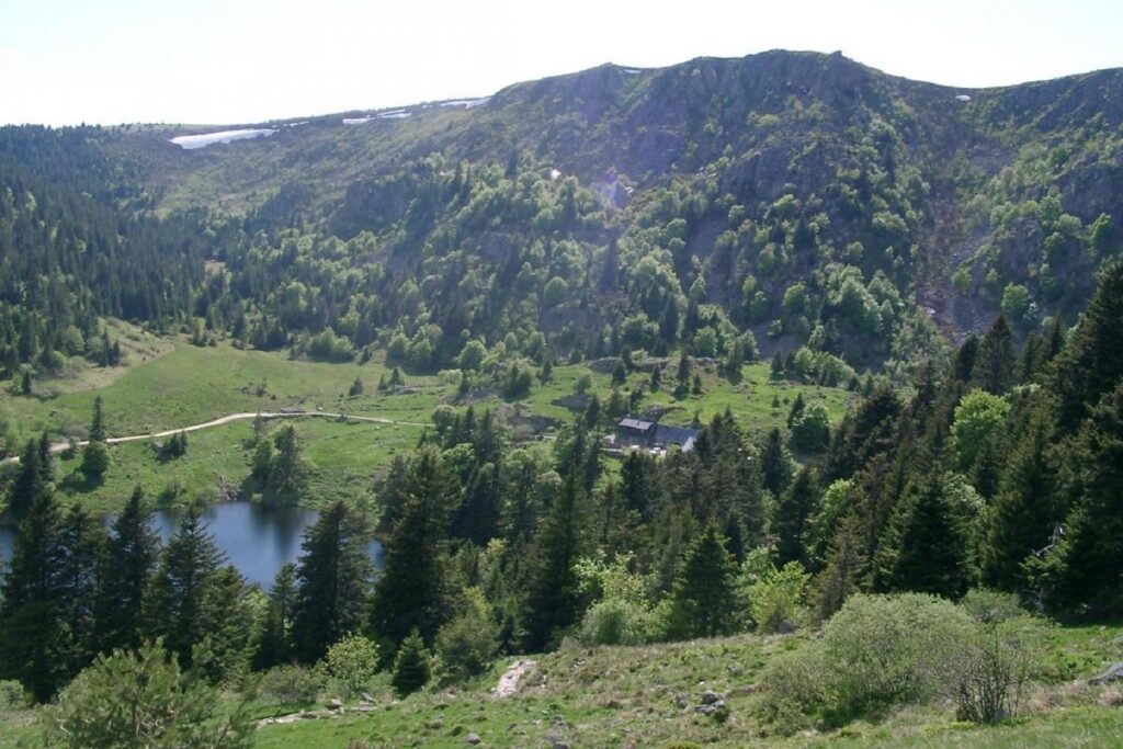 Paysage de montagne dans les Vosges avec une vallée aux couleurs vertes et remplie d'arbres de part et d'autre
