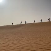 groupe de randonneurs sur la crête des dunes dans le désert de Mauritanie
