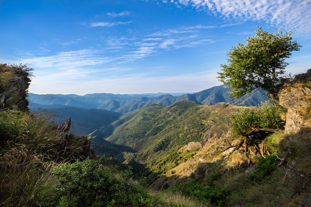 Paysage de montagne avec des vallées dans les Cévennes, des vallées recouvertes d'arbres