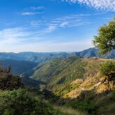 Paysage de montagne avec des vallées dans les Cévennes, des vallées recouvertes d'arbres