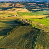 Paysage vu de haut d'un domaine viticole en Toscane, Italie. Le décor est très typique avec différentes teintes de vert et des cyprès de part et d'autre du chemin qui permet d'accéder au domaine