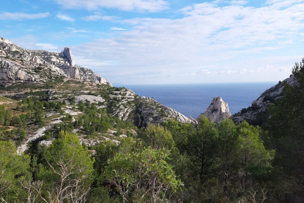 Paysage dans les calanques de la côte bleue et autour de Marseille