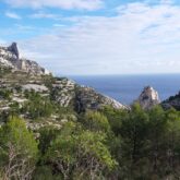 Paysage dans les calanques de la côte bleue et autour de Marseille