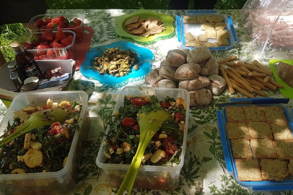 Photo d'un pique-nique composé de diverses salades composées, toasts et autres