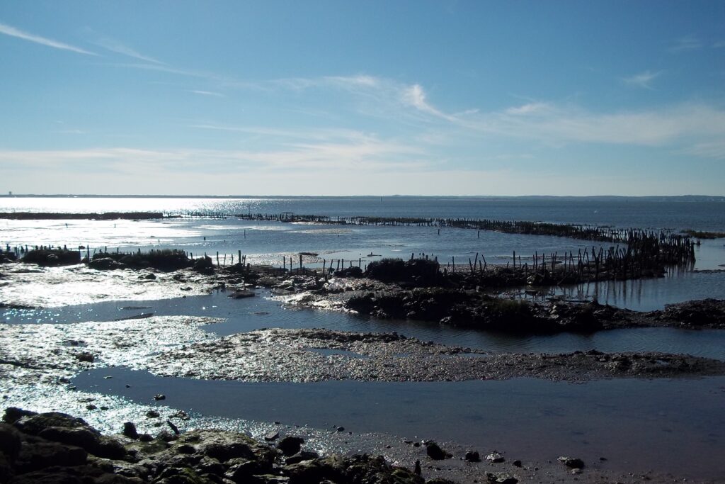 Paysage de bord de mer dans le bassin d'Arcachon.