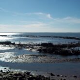 Paysage de bord de mer dans le bassin d'Arcachon.