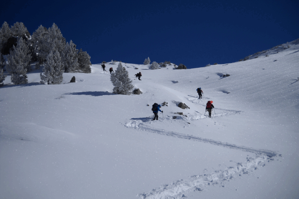 Groupe de randonneurs en raquettes avec leur guide, ils montent en traçant des lacets à flanc de la montagne