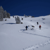 Groupe de randonneurs en raquettes avec leur guide, ils montent en traçant des lacets à flanc de la montagne
