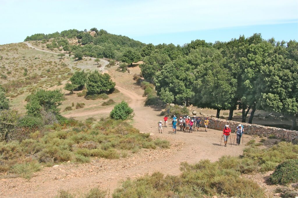 Groupe de randonneurs en Sardaigne sur un sentier de randonnée en terre encadré de différents arbres sous un soleil estival