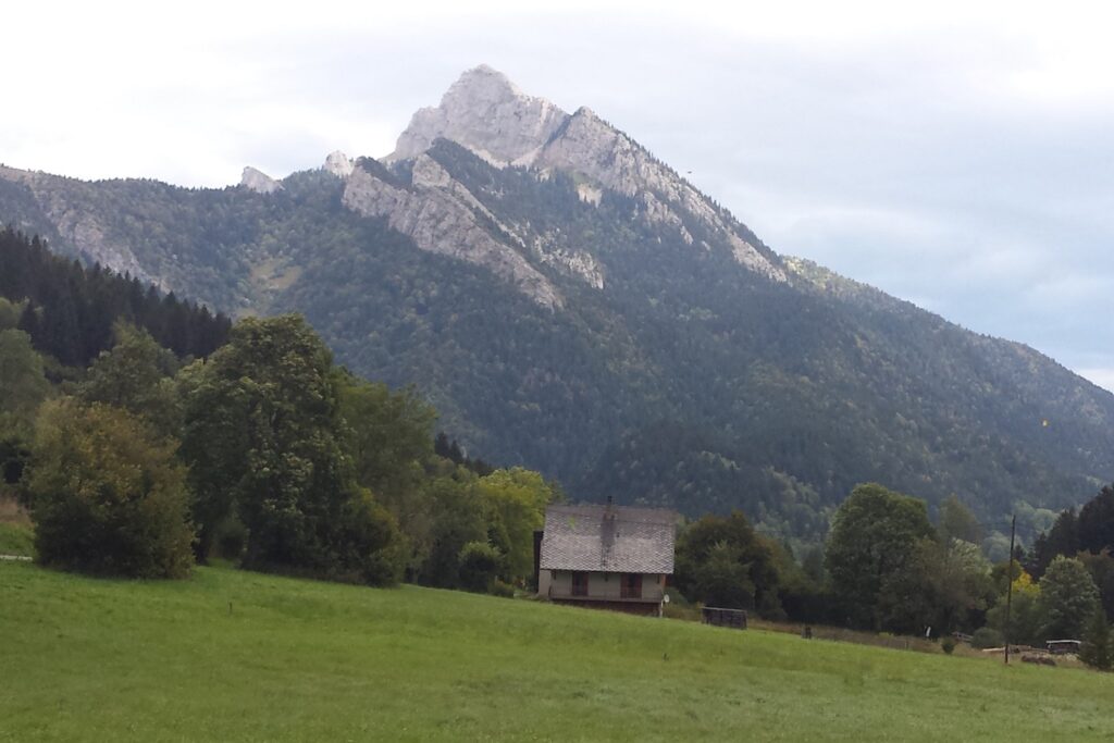Paysage de montagne avec en fond un sommet