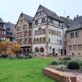 Paysage d'Alsace avec un groupe de maisons typiques