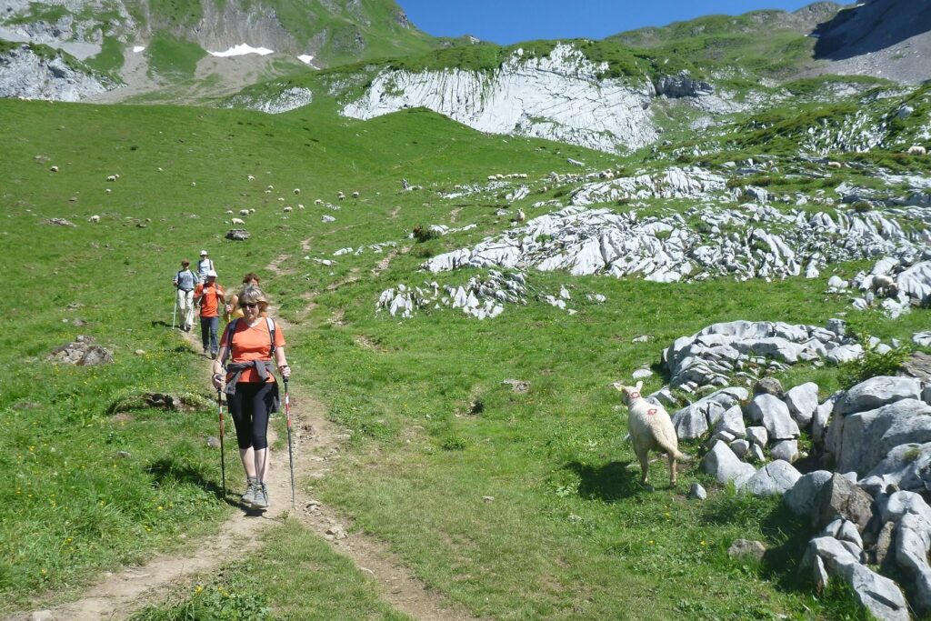 Groupe de randonneurs sur un sentier de randonnée en liberté lors de la traversée des Aravis