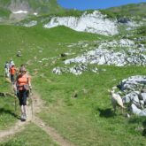 Groupe de randonneurs sur un sentier de randonnée en liberté lors de la traversée des Aravis
