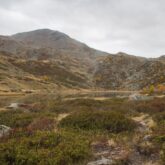 Paysage de montagne avec des sommets en fond et au premier plan une plaine d'herbe aux couleurs automnales observée dans la vallée de l'Ubaye