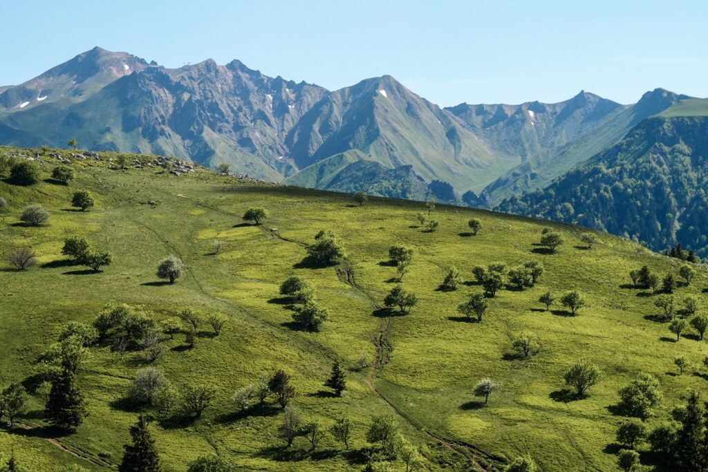 Paysage de montagne en Auvergne avec en fond des sommets et des volcans de la zone