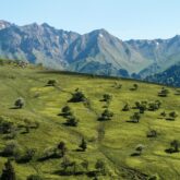 Paysage de montagne en Auvergne avec en fond des sommets et des volcans de la zone