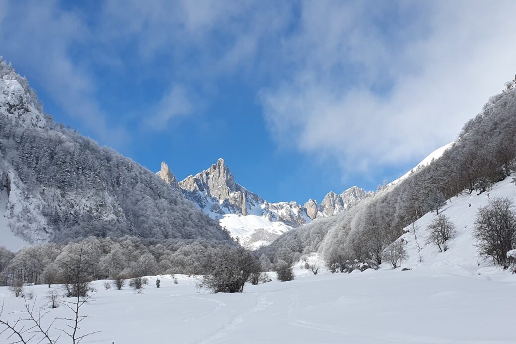 Paysage montagnard avec la vallée encadrée d'arbres de part et d'autre