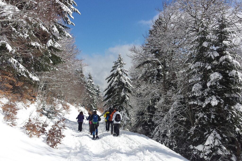 Groupe de randonneurs avec leur guide en raquettes dans le massif du Queyras
