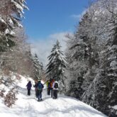 Groupe de randonneurs avec leur guide en raquettes dans le massif du Queyras