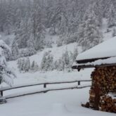 Paysage hivernal couvert de neige dans le massif du Queyras lors d'un séjour accompagné dans le massif du Queyras