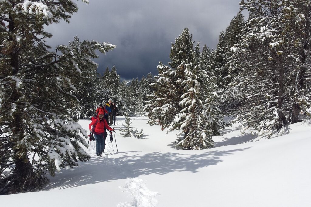 Groupe de randonneurs sur une trace en raquettes accompagné par leur guide dans le massif du Néouvielle