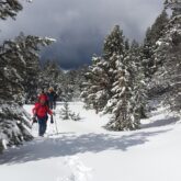 Groupe de randonneurs sur une trace en raquettes accompagné par leur guide dans le massif du Néouvielle