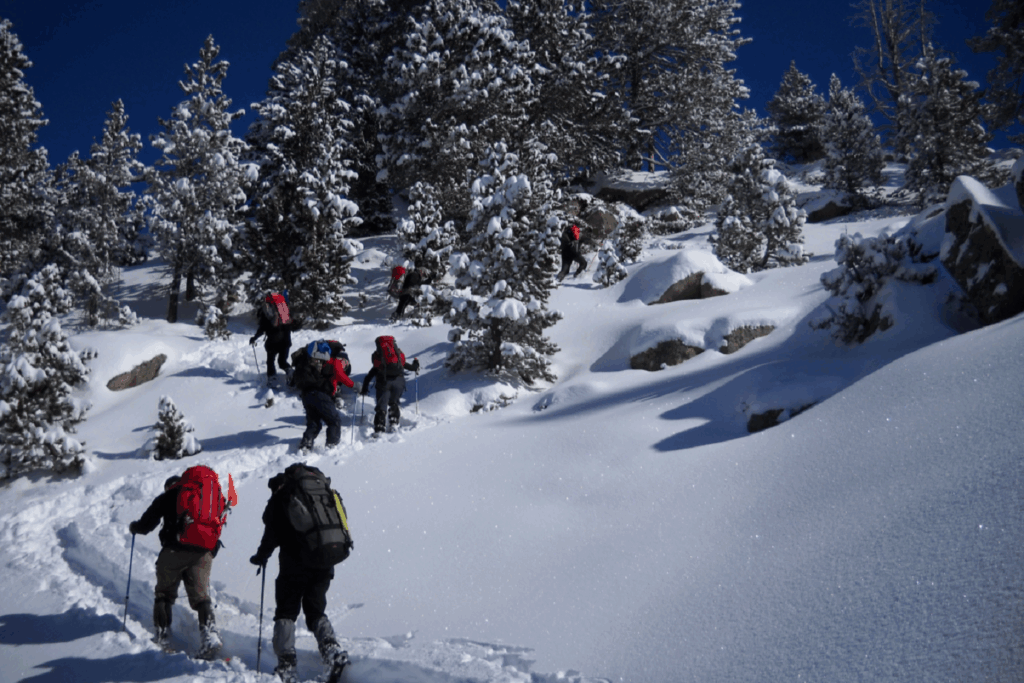 Groupe de randonneurs sur un sentier en hiver, encadré d'arbres couverts de neige