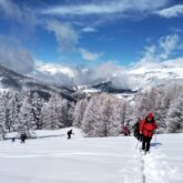 Groupe de randonneurs sur un sentier de randonnée dans le massif du Queyras, encadré par un guide