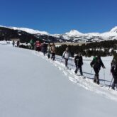 Groupe de randonneurs sur un sentier de randonnée en raquettes avec leur guide dans les Pyrénées orientales, au cours d'un séjour pour réveillon au refuge des Bouillouses