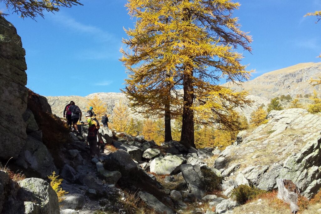 Groupe de randonneurs avec leur guide sur un sentier de montagne, un sentier avec beaucoup de roche et des arbres