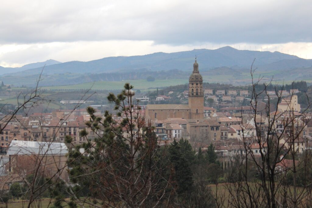 Paysage de la ville de Pampelune avec des arbres au premier plan et la cathédrale de Pampelune à l'arrière