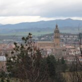 Paysage de la ville de Pampelune avec des arbres au premier plan et la cathédrale de Pampelune à l'arrière