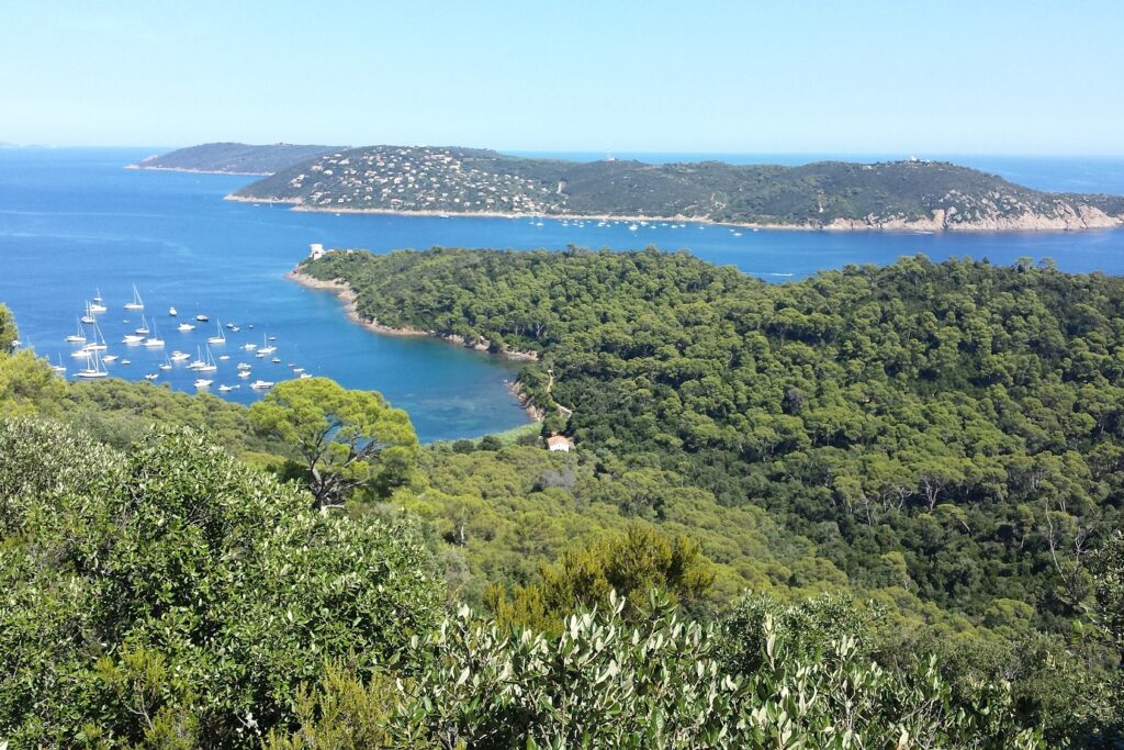 Paysage vu de haut sur la baie des îles de Port Cros
