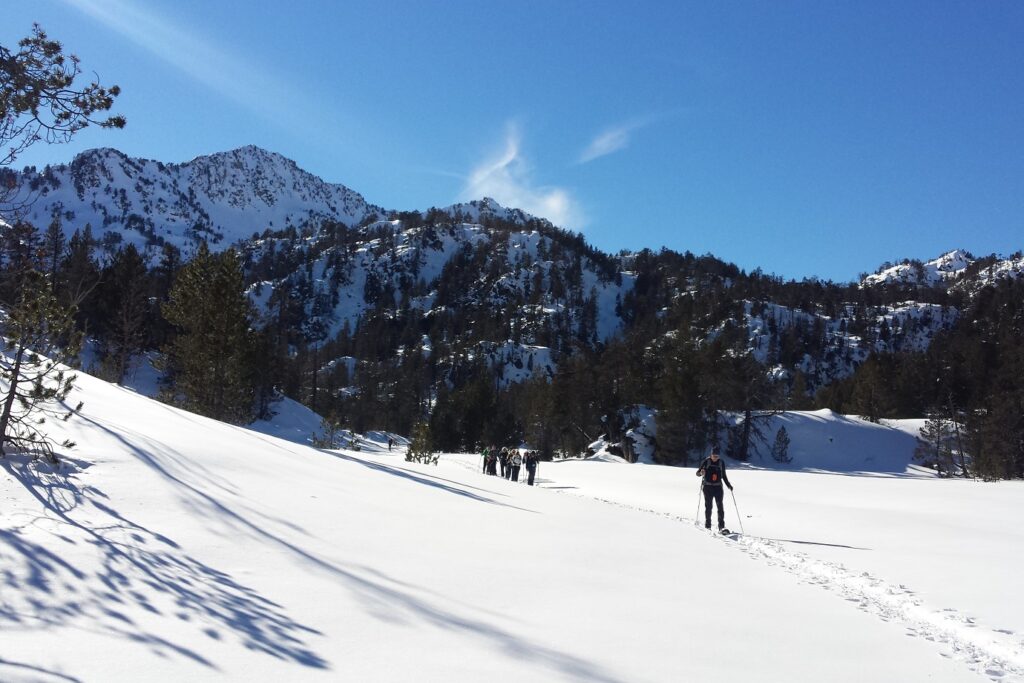 Groupe de randonneurs sur un sentier en raquettes, accompagnés par un guide dans les hautes Pyrénées