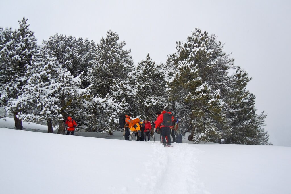 Groupe de randonneurs en raquette à travers la neige qui s'avancent vers une forêt