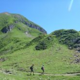 Groupe de randonneurs en liberté sur un sentier de randonnée à travers une plaine avec des sommets couverts d'herbe derrière eux et un paysage estival