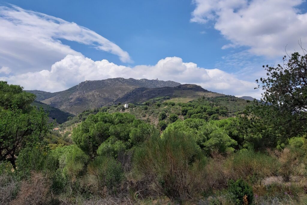 Paysage de reliefs de montagnes observé lors d'un séjour avec l'option balnéo dans les Pyrénées orientales près de Banyuls.