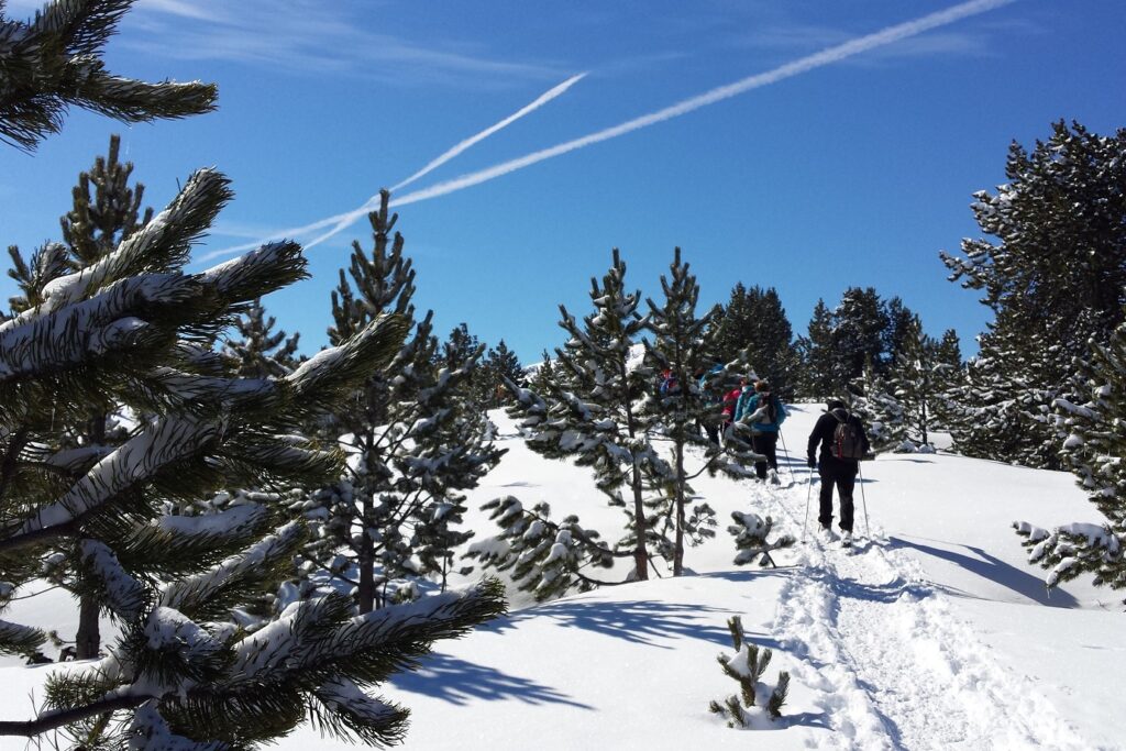 Groupe de randonneurs sur un sentier avec leur guide en raquettes dans la vallée de Bigorre