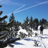 Groupe de randonneurs sur un sentier avec leur guide en raquettes dans la vallée de Bigorre