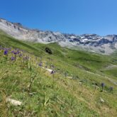 Paysage d'un flanc de montagne dans le secteur de Gavarnie