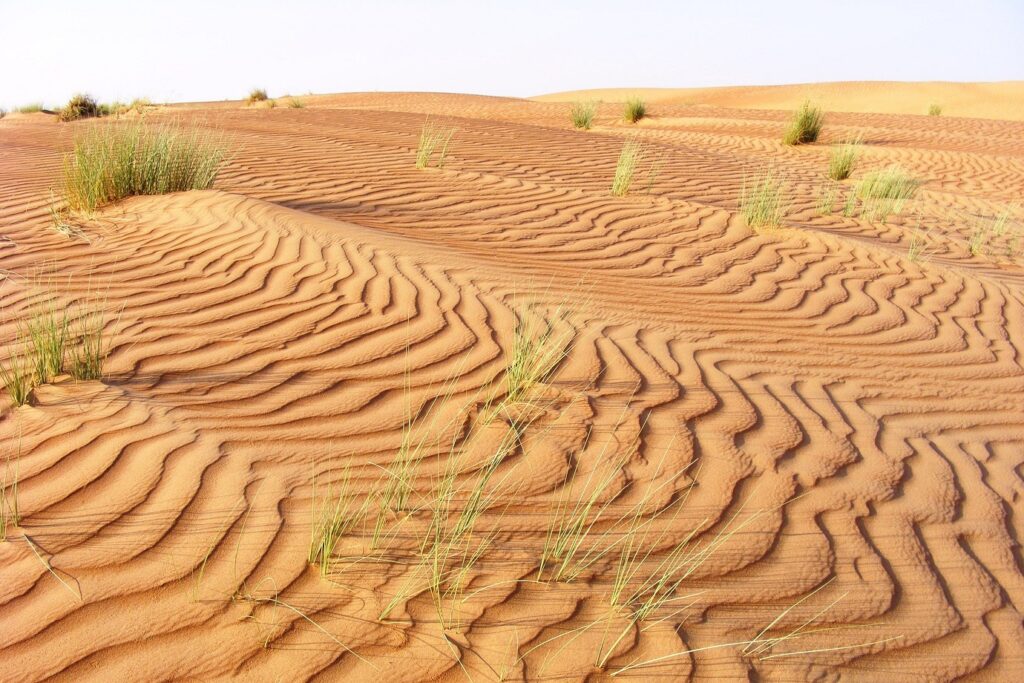 Paysage désertique avec un étendue de sable marquée de petites vagues dues au vent à Oman.