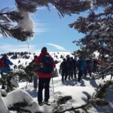 Groupe de randonneurs sur un sentier de randonnée en raquettes avec leur guide, lors d'un séjour de randonnée en raquettes au pied du pic du midi de Bigorre
