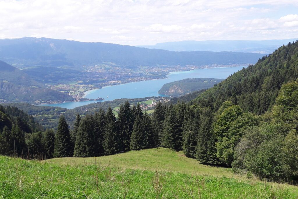 Paysage de montagne avec une clairière encadrée d'arbres